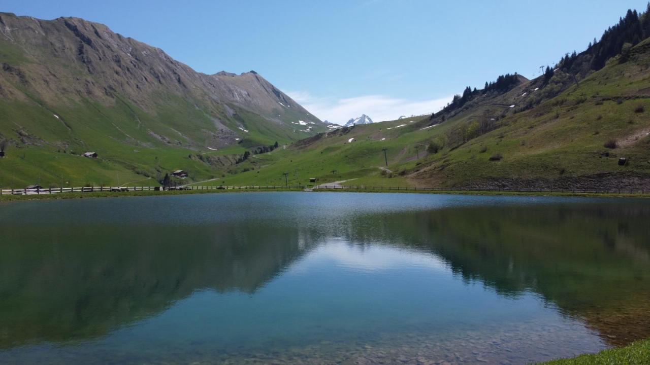 Hotel Et Spa Le Vermont Le Grand-Bornand Zewnętrze zdjęcie